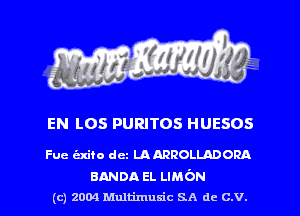 EN LOS PURITOS HUESOS

Fue hito dcz LAARROLLADORA

BANDA EL LIMbN
(c) 2004 Mnltimusic SA dc C.V.