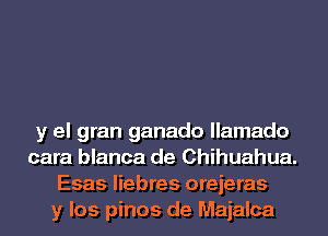 y el gran ganado llamado
cara blanca de Chihuahua.
Esas liebres orejeras
y los pinos de Majalca