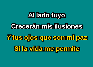 AI lado tuyo

Creceran mis ilusiones

Y tus ojos que son mi paz

Si la vida me permite