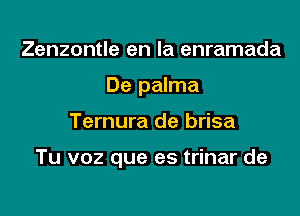 Zenzontle en la enramada
De palma

Ternura de brisa

Tu voz que es trinar de