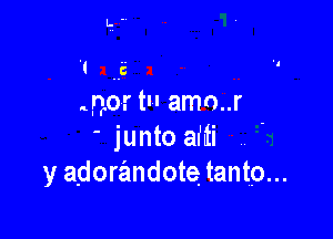mm tn amo..r

' junto affri
y adorandote tanto...