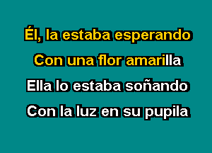 El, la estaba esperando
Con una flor amarilla
Ella lo estaba soflando

Con la luz en su pupila