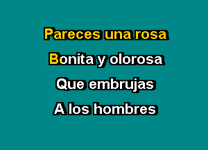 Pareces una rosa

Bonita y olorosa

Que embrujas

A los hombres