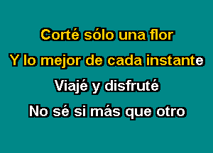 Cortc'e sdlo una flor

Y lo mejor de cada instante

Viajc'e y disfrutc'e

No 962 si mas que otro