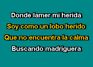 Donde lamer mi herida
Soy como un lobo herido
Que no encuentra la calma

Buscando madriguera