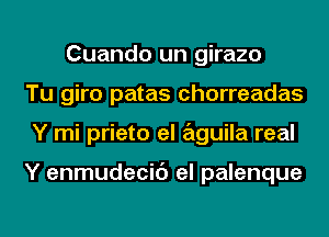 Cuando un girazo
Tu giro patas chorreadas
Y mi prieto el aguila real

Y enmudecic') el palenque