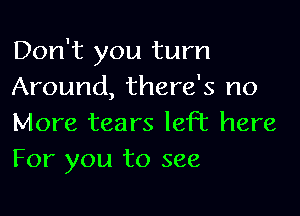 Don't you turn
Around, there's no

More tears left here
For you to see