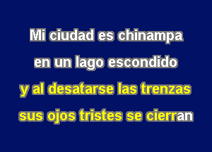 Mi ciudad es chinampa
en un Iago escondido
y al desatarse las trenzas

sus ojos tristes se cierran