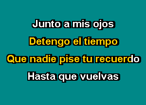 Junto a mis ojos

Detengo el tiempo

Que nadie pise tu recuerdo

Hasta que vuelvas