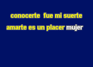conocerte fue mi suerte

amarte es un placer mujer