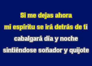 Si me dejas ahora
mi espiritu se ira detras de ti
cabalgara dia y noche

sintit'endose soriador y quijote