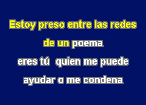 Estoy preso entre las redes
de un poema
eres tl'J quien me puede

ayudar 0 me condena