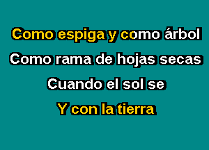 Como espiga y como arbol

Como rama de hojas secas
Cuando el sol se

Y con la tierra