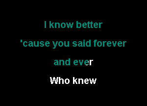 I know better

'cause you said forever

and ever

Who knew