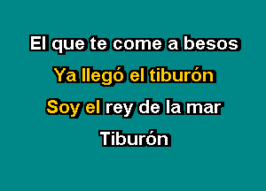 El que te come a besos

Ya Ilegc') el tiburdn

Soy el rey de la mar

Tiburbn