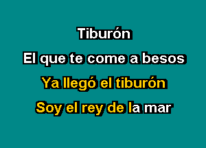 Tiburc'm

El que te come a besos

Ya llegb el tiburdn

Soy el rey de la mar