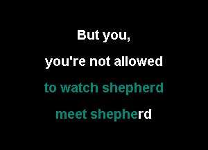 But you,

you're not allowed

to watch shepherd

meet shepherd