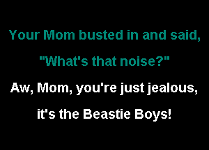 Your Mom busted in and said,

What's that noise?

Aw, Mom, you're justjealous,

it's the Beastie Boys!