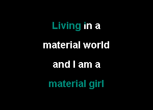 Living in a
material world

andlama

material girl