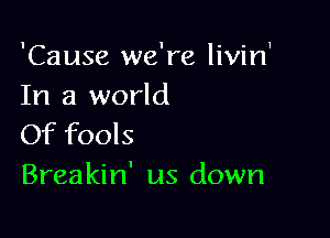 'Cause we're livin'
In a world

Of fools
Breakin' us down