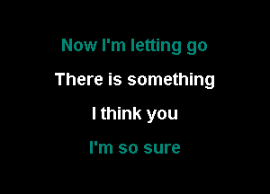 Now I'm letting go

There is something

I think you

I'm so sure