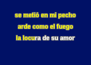 se metic') en mi pecho

arde como el fuego

la locura de su amor