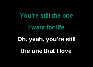 You're still the one

I want for life

Oh, yeah, you're still

the one that I love