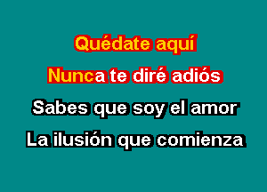 Quc'adate aqui

Nunca te dirc'e adids
Sabes que soy el amor

La ilusibn que comienza