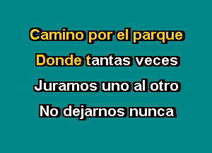 Camino por el parque

Donde tantas veces
Juramos uno al otro

No dejarnos nunca