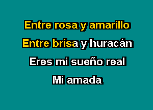 Entre rosa y amarillo

Entre brisa y huracan

Eres mi suano real

Mi amada