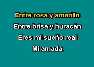 Entre rosa y amarillo

Entre brisa y huracan

Eres mi suano real

Mi amada