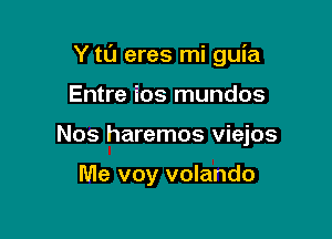 Y tL'J eres mi guia

Entre ios mundos
Nos haremos viejos

Me voy volando