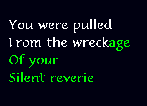 You were pulled
From the wreckage

Of your
Silent reverie