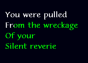 You were pulled
From the wreckage

Of your
Silent reverie