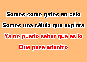 Somos como gatos en celo
Somos una c(elula que explota
Ya no puedo saber que es lo

Que pasa adentro