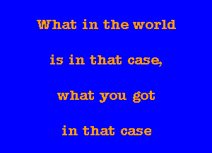 What in the world

is in that case,

what you got

in that case