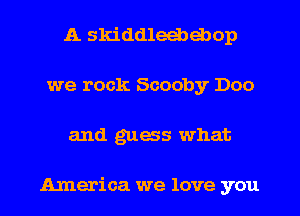 A skiddleebebop
we rock Scooby D00
and glass what

America we love you