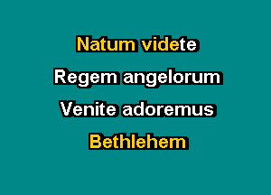 Natum videte

Regem angelorum

Venite adoremus
Bethlehem