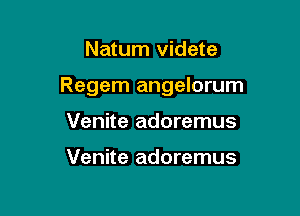 Natum videte

Regem angelorum

Venite adoremus

Venite adoremus