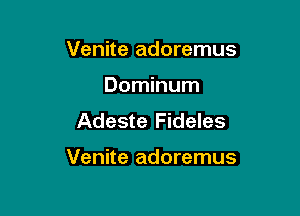 Venite adoremus
Dominum
Adeste Fideles

Venite adoremus