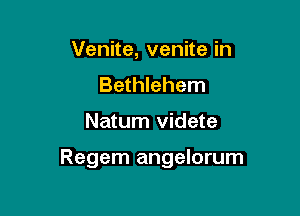 Venite, venite in
Bethlehem

Natum videte

Regem angelorum