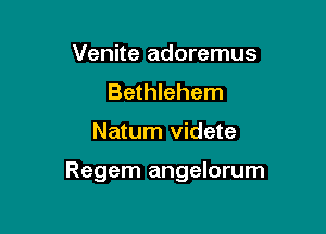 Venite adoremus
Bethlehem

Natum videte

Regem angelorum