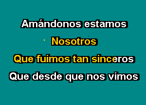 Amandonos estamos
' Nosotros
Que fuimos tan sinceros

Que desde que nos vimos