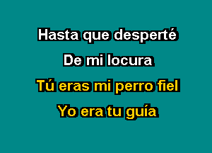 Hasta que desperttaz

De mi locura

T0 eras mi perro fuel

Yo era tu guia