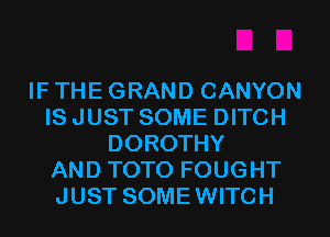 IF THE GRAND CANYON
IS JUST SOME DITCH
DOROTHY
AND TOTO FOUGHT
JUST SOMEWITCH