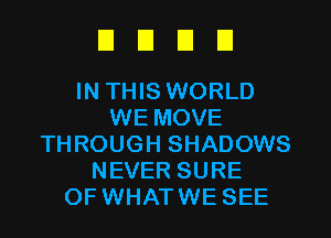 DUDE!

IN THIS WORLD
WE MOVE
THROUGH SHADOWS
NEVER SURE
OF WHATWE SEE