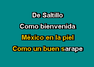 De Saltillo

Como bienvenida

M(exico en la piel

Como un buen sarape