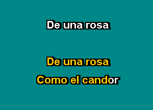 De una rosa

De una rosa

Como el candor