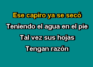 Ese capiro ya se secc')

Teniendo el agua en el pie

Tal vez sus hojas

Tengan razdn