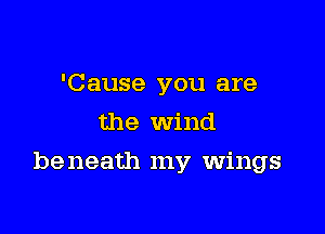 'Cause you are
the Wind

be neath my wings
